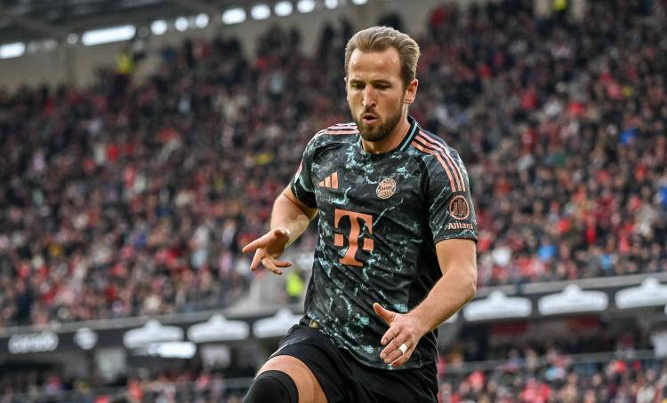 的任何松懈 的任何松懈